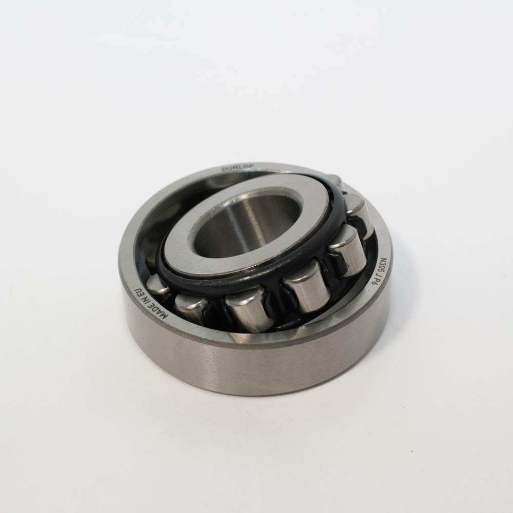 Bearing differential pinion inner MGTC