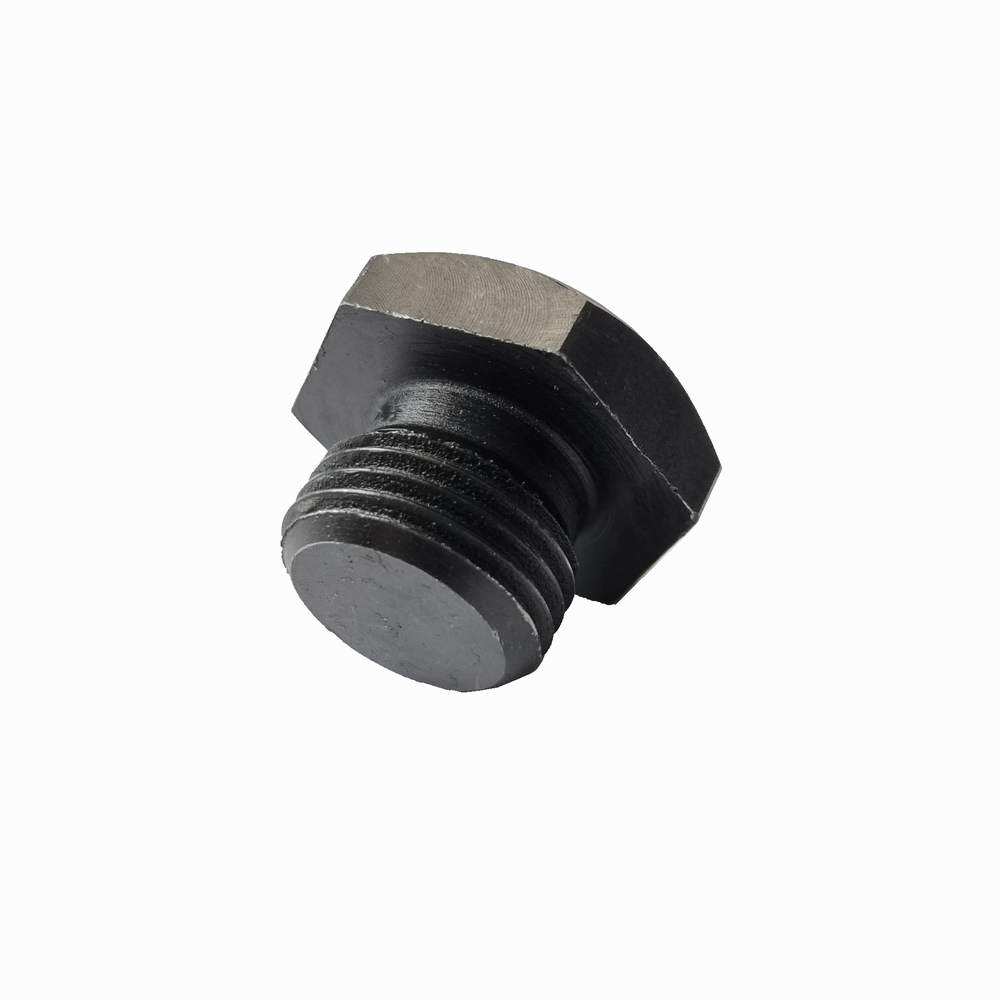 PLUG-CYL HEAD/INLET MANIFOLD
