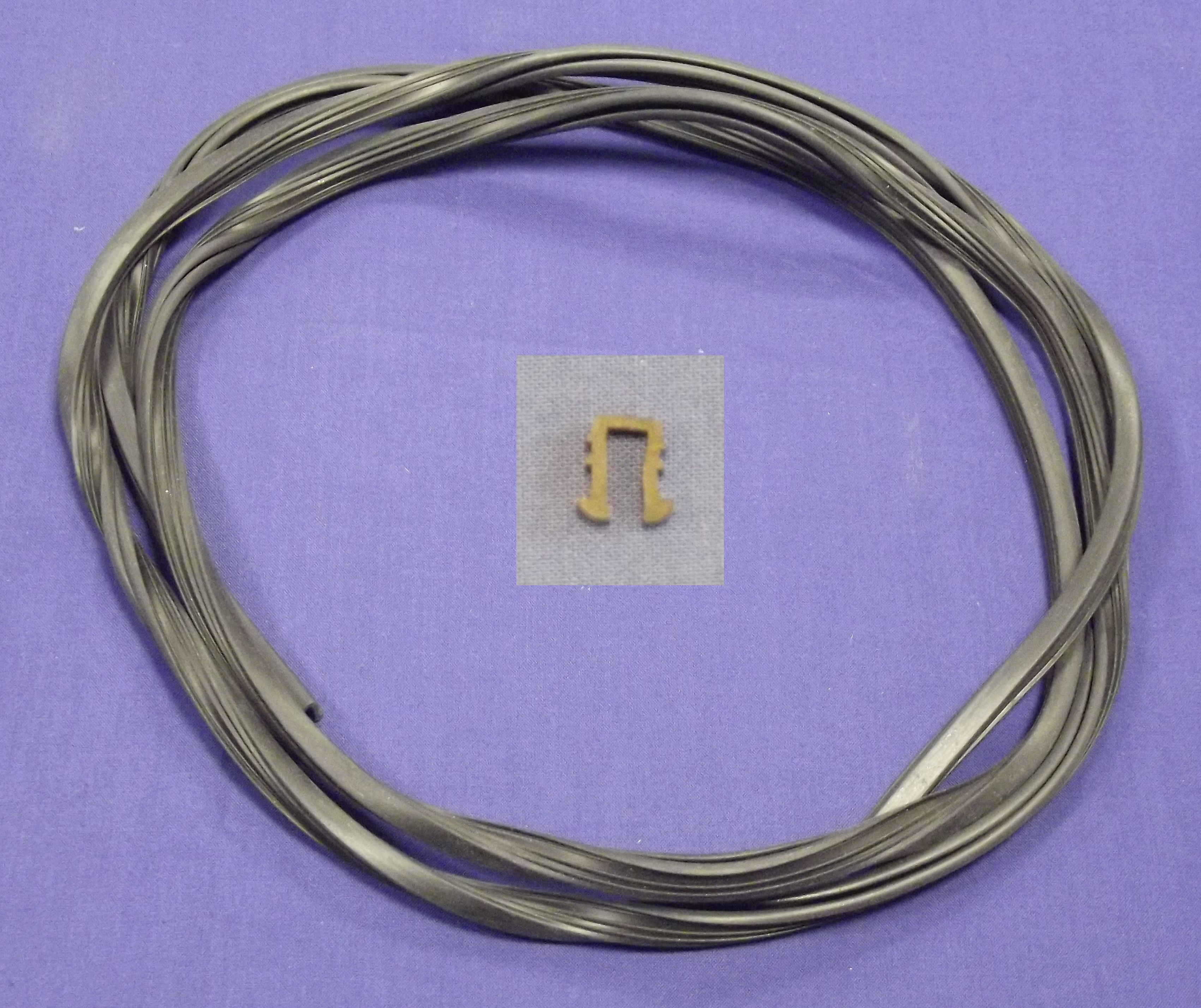 Seal qtr light rear BGT