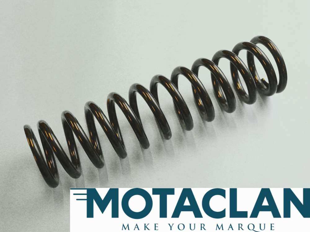 Road spring rear - TVR 15425