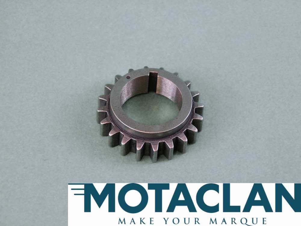 Timing chain sprocket
