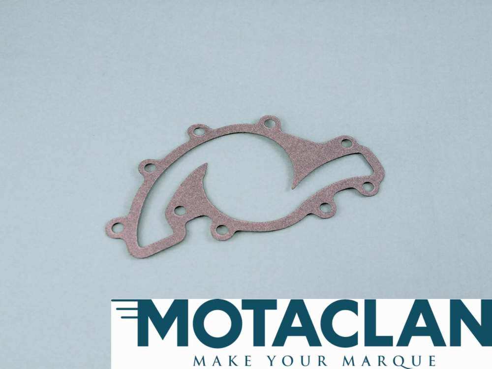 Water pump gasket
