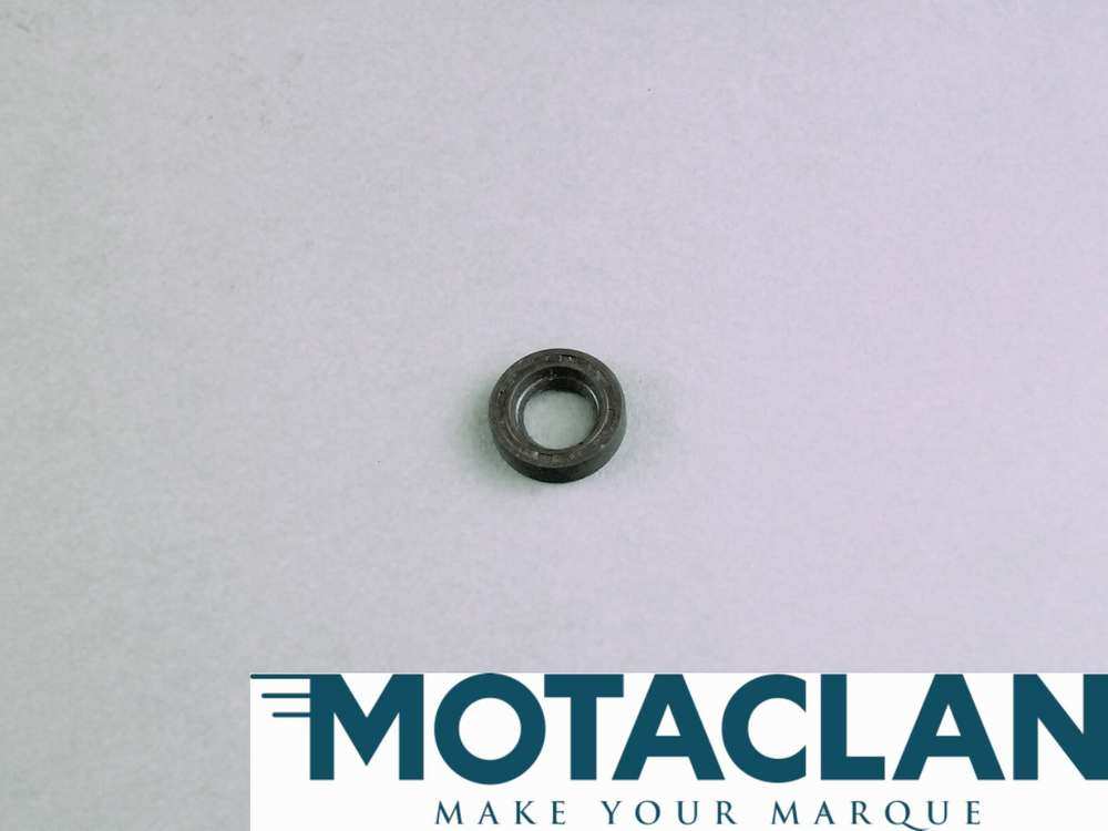 Oil seal water pump