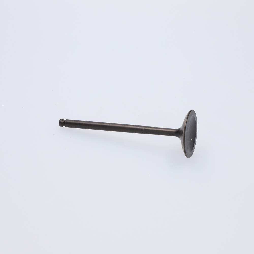 Valve inlet