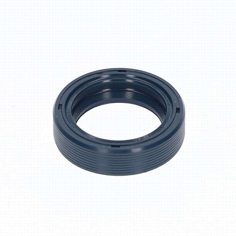 Oil seal - TVR_025F_024A