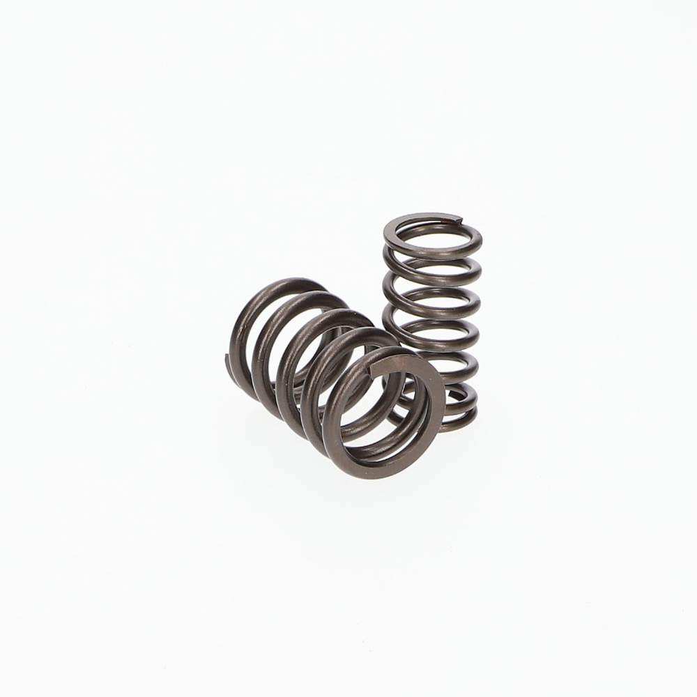 Valve spring double Rover V8 - TVR_E0151