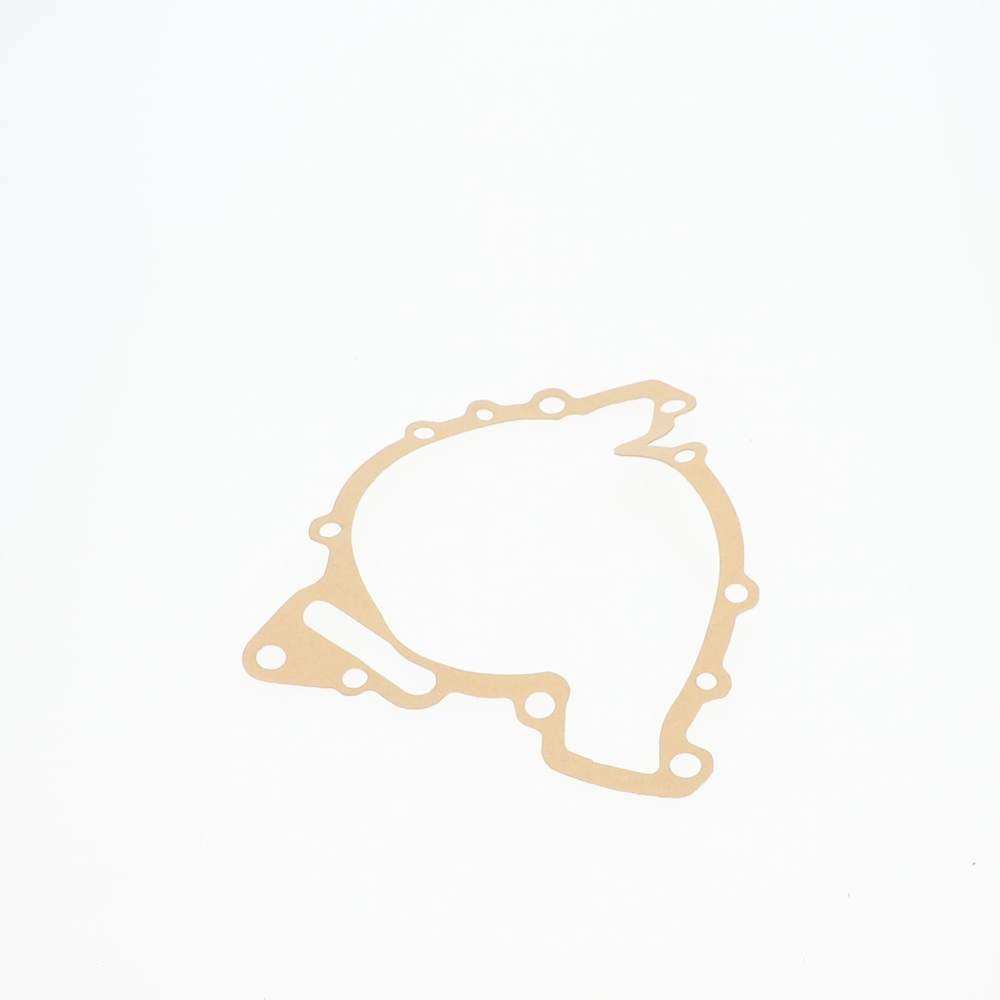 Water pump gasket - TVR_E0198