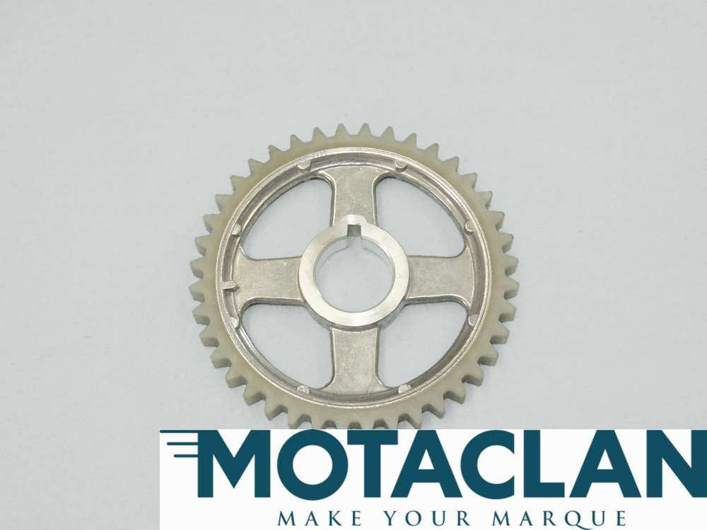 Timing chain sprocket - TVR_E0404