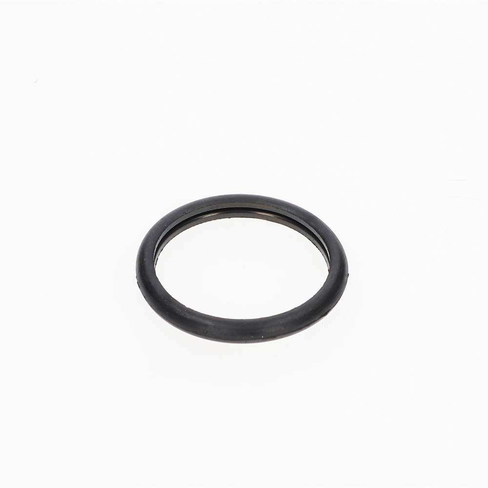 Thermostat seal - TVR_E2015