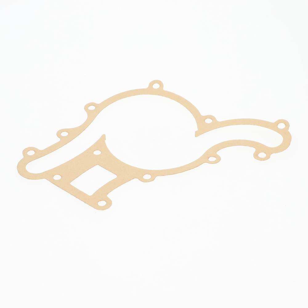 Water pump gasket - TVR_E2091