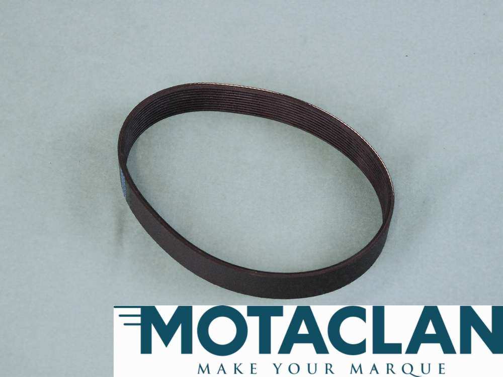 Drive belt, alternator - TVR_E2121