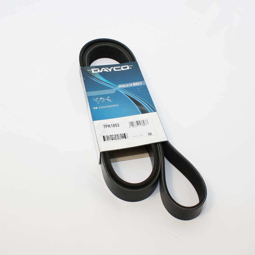 Drive belt, serpentine - TVR_E2212