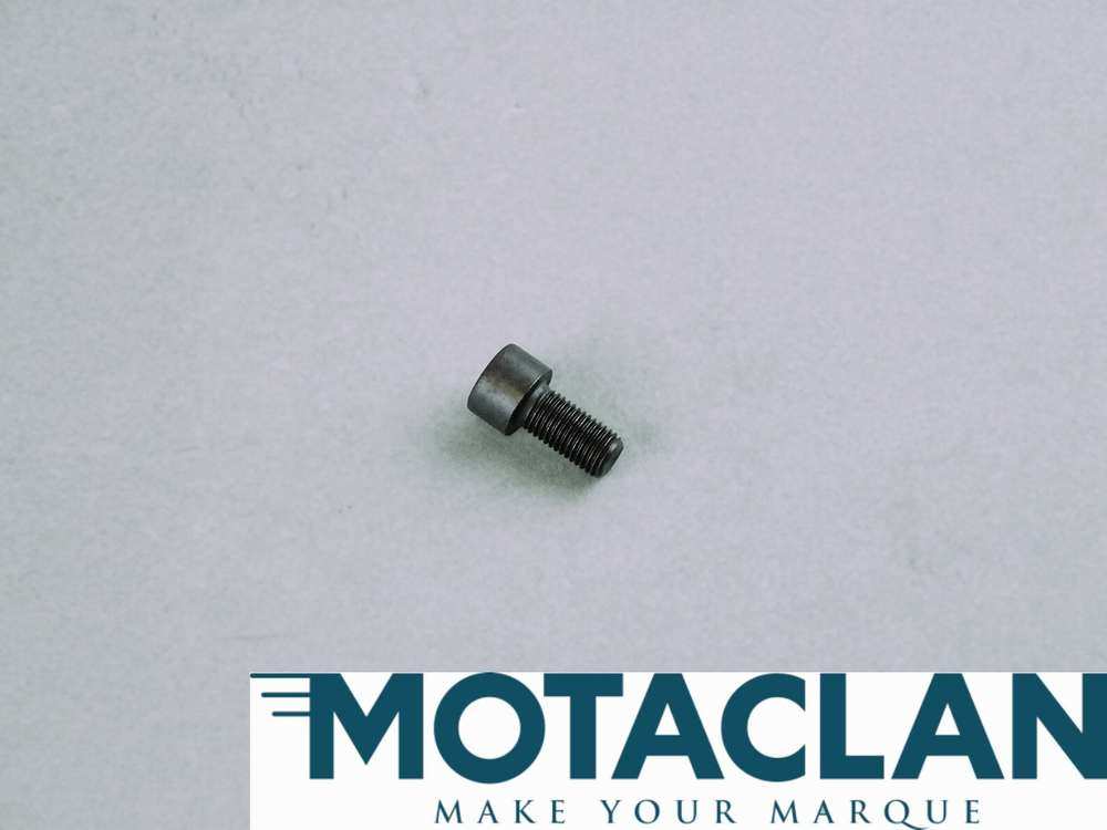 Cam sprocket bolt - TVR_E2233