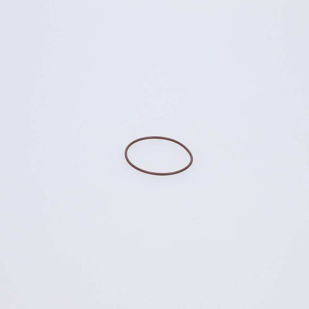 O ring heat barrier AJP V8 - TVR_E3542