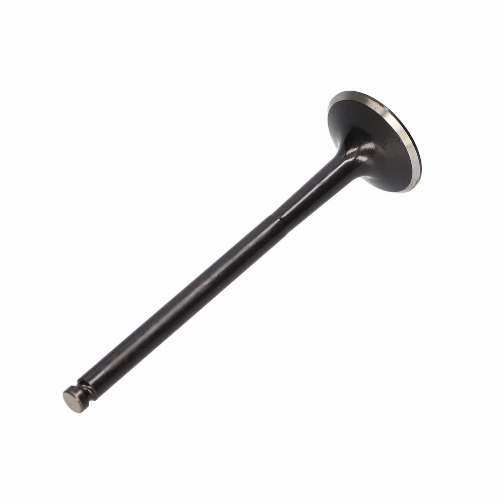 Valve exhaust - TVR_E6051