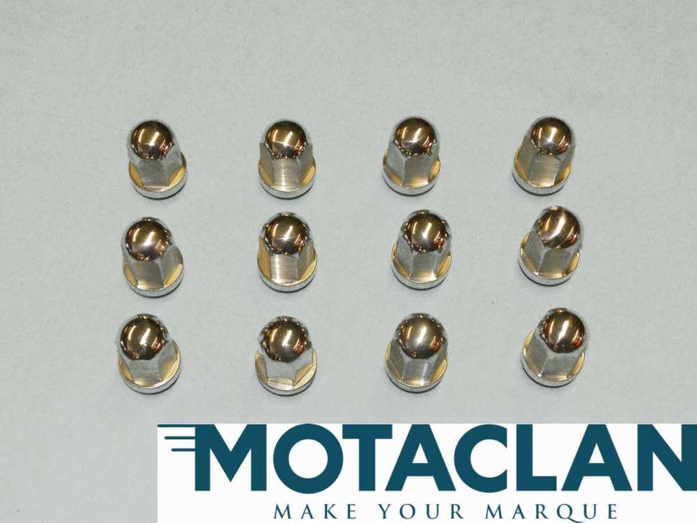 Wheel nut, polished stainless - TVR_G0021_12SH