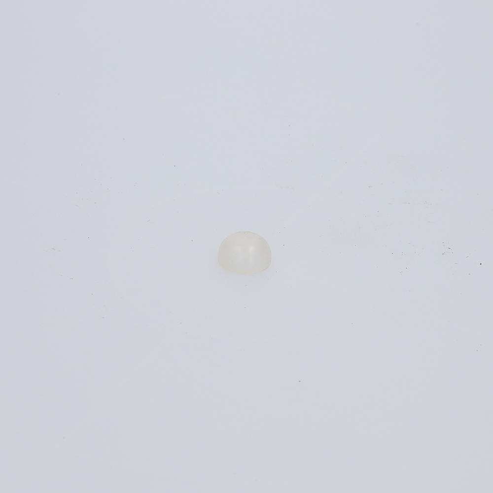 Door switch cover - TVR_M0922