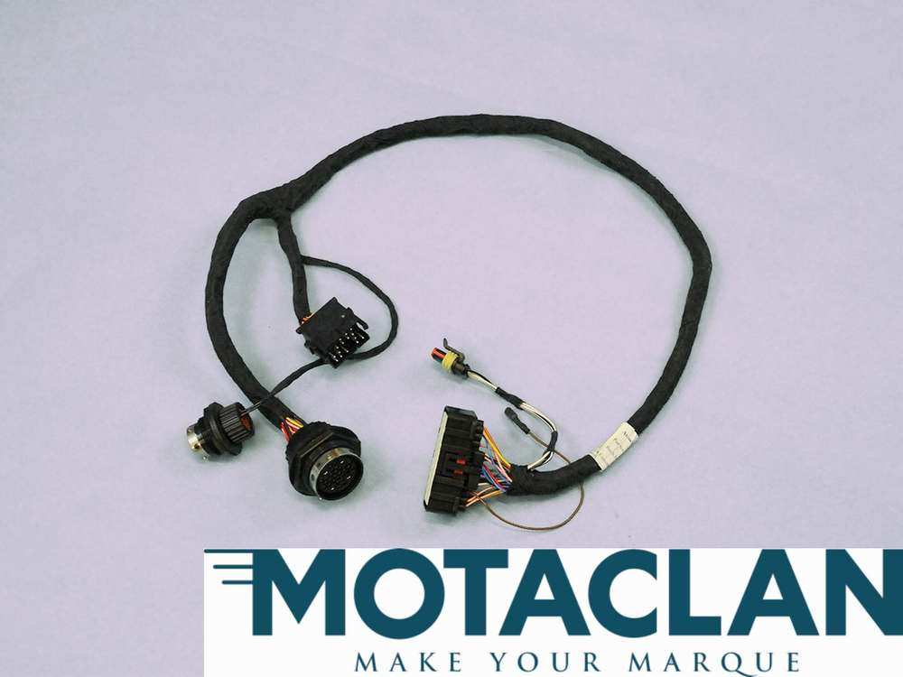 Wiring harness - TVR_M1667