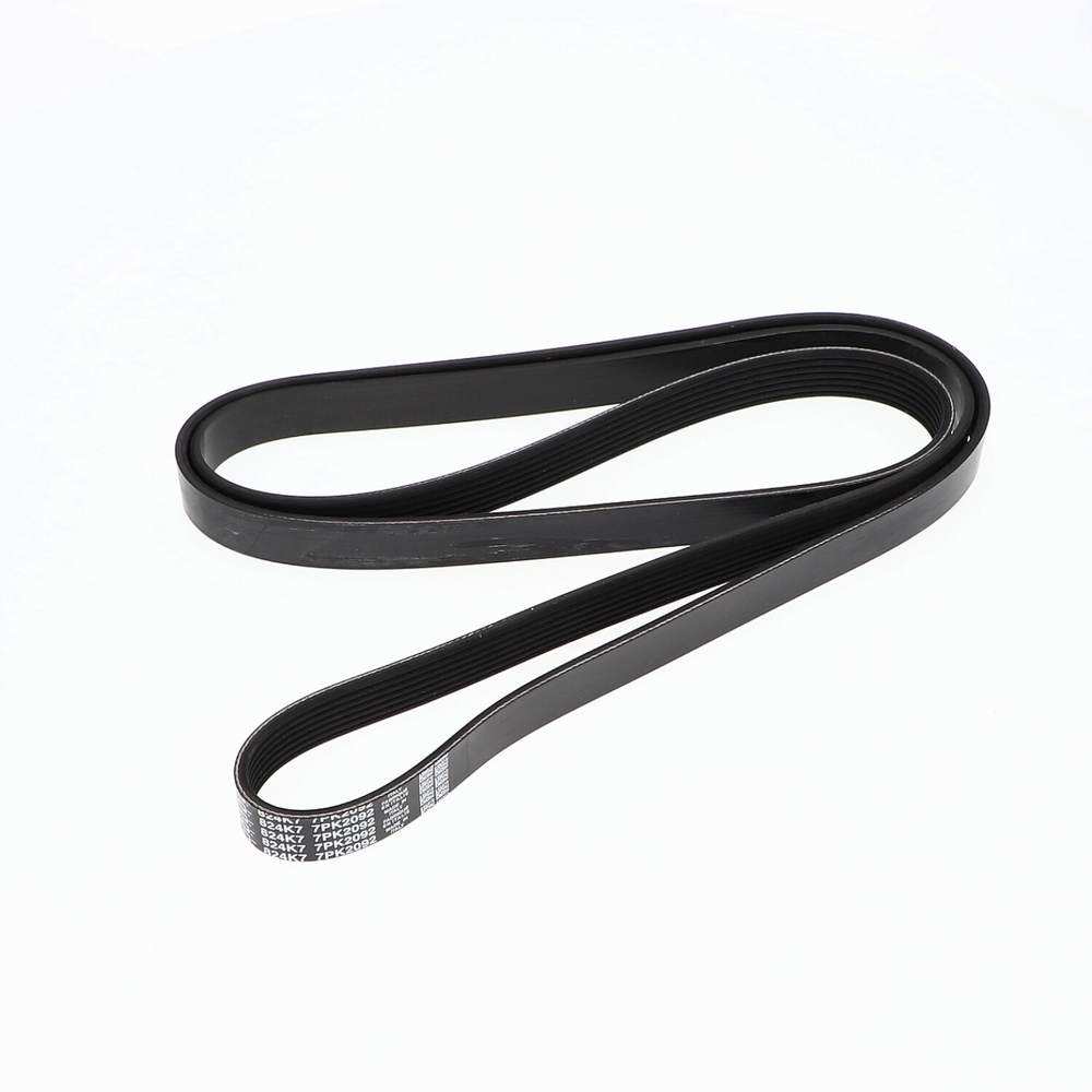 Drive belt, serpentine - TVR_P0139