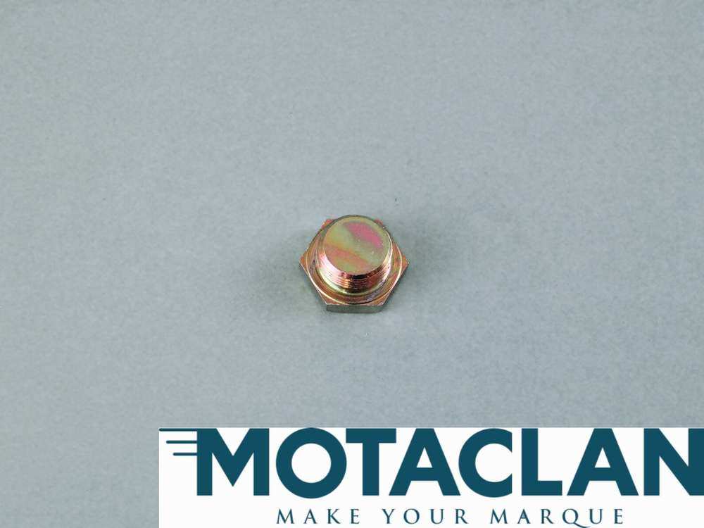 Filler plug - TVR_R0299