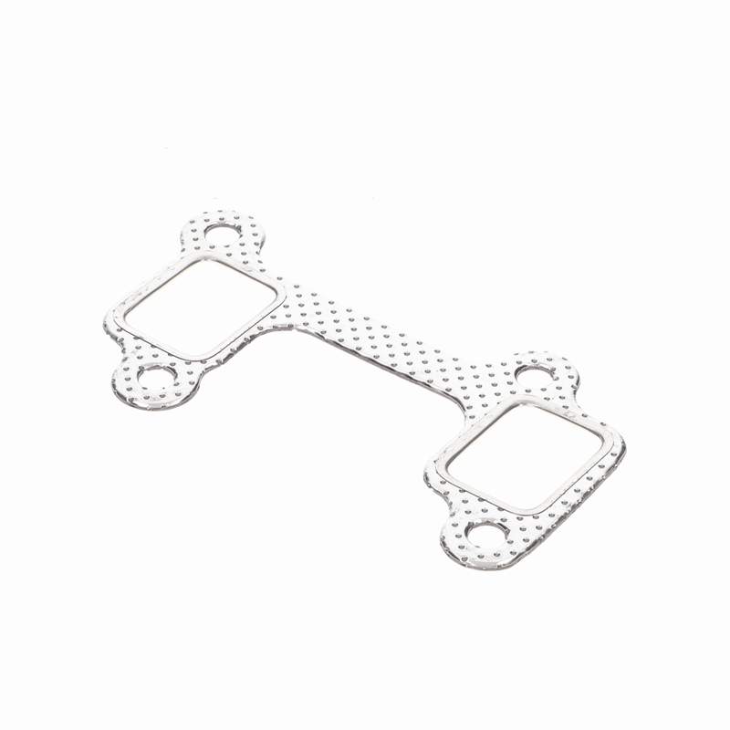 Manifold Gasket - TVR_S0091_HD