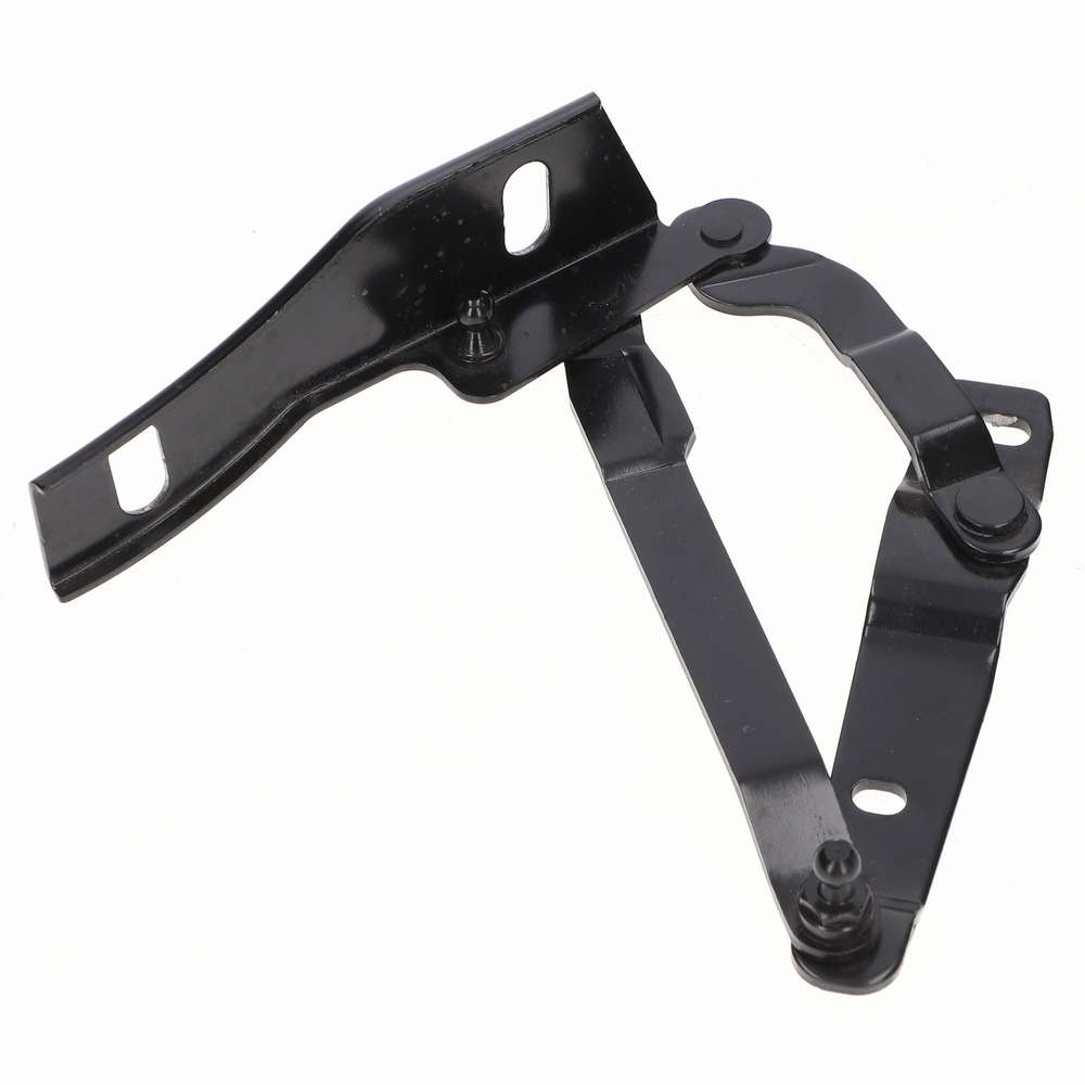 Boot Hinge LH - TVR_U2748