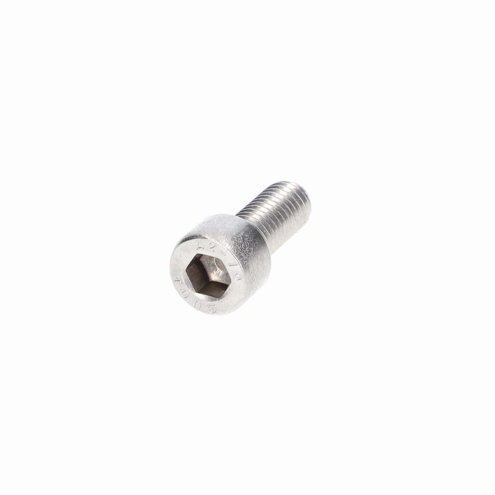 BOLT M8 X 20 SOCKET CAP S/S - TVR_W0039