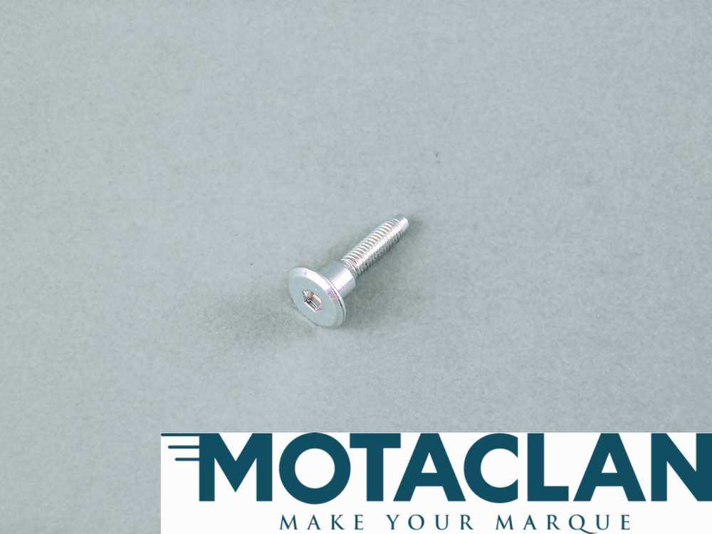 Tailgate bolt for rear screen hinge on T350 and Sagaris. - TVR_W1097