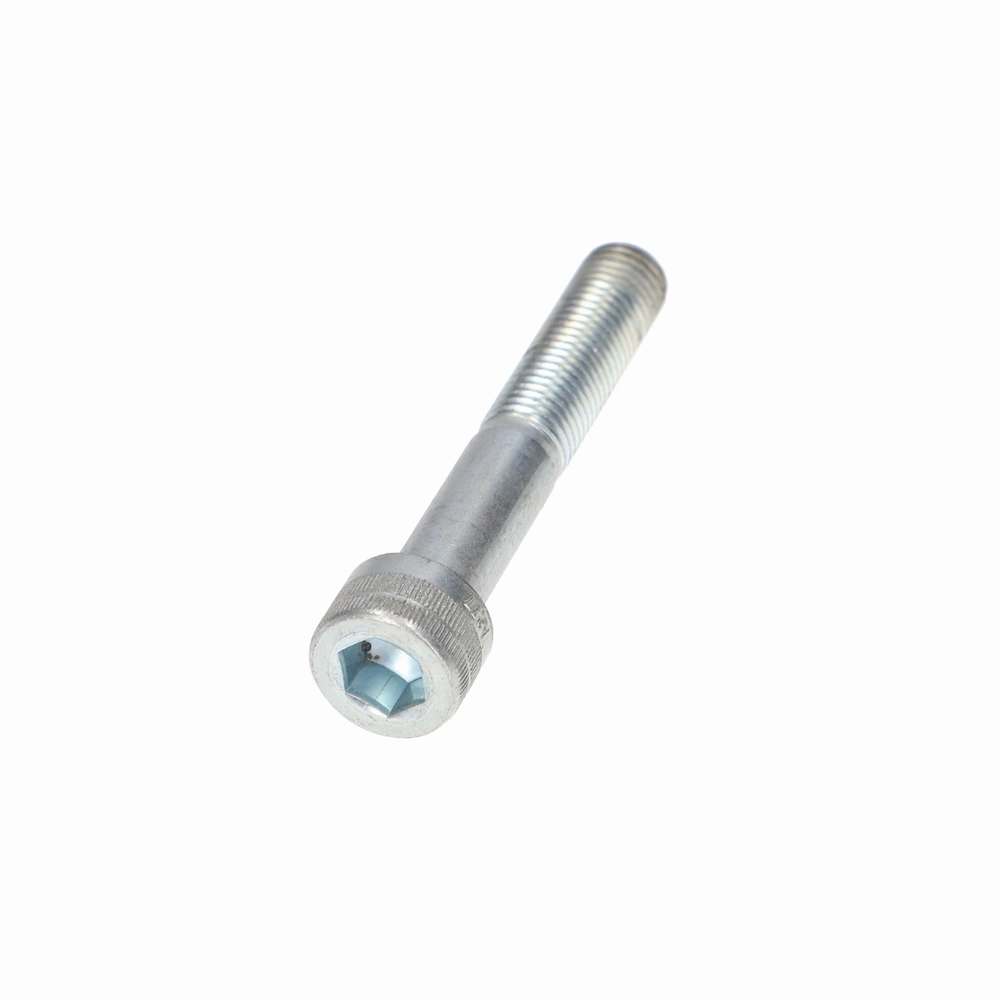 BOLT M10 X 55 - TVR_W1171