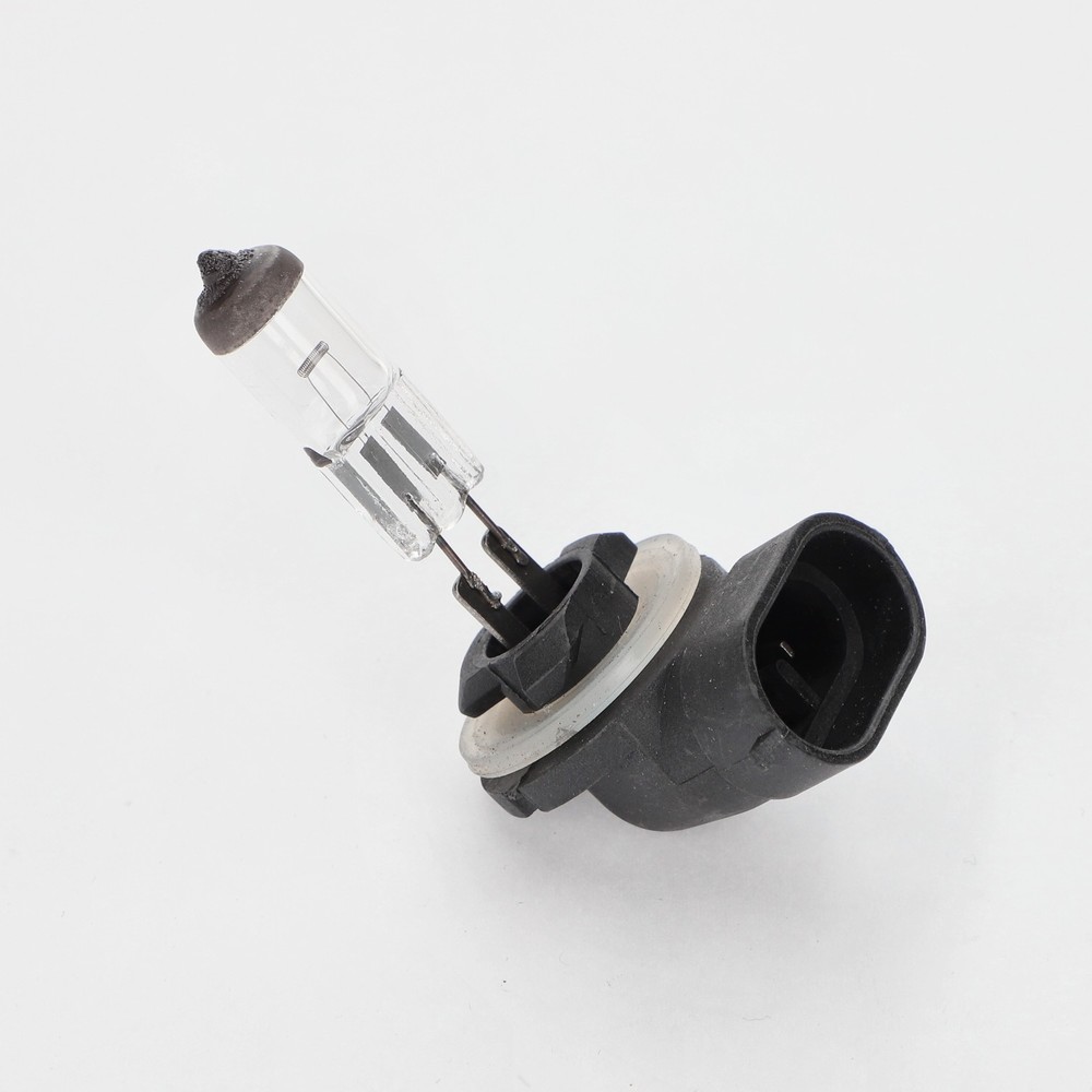 BULB 12V 27W PGJ13 HALOGEN - XABP881