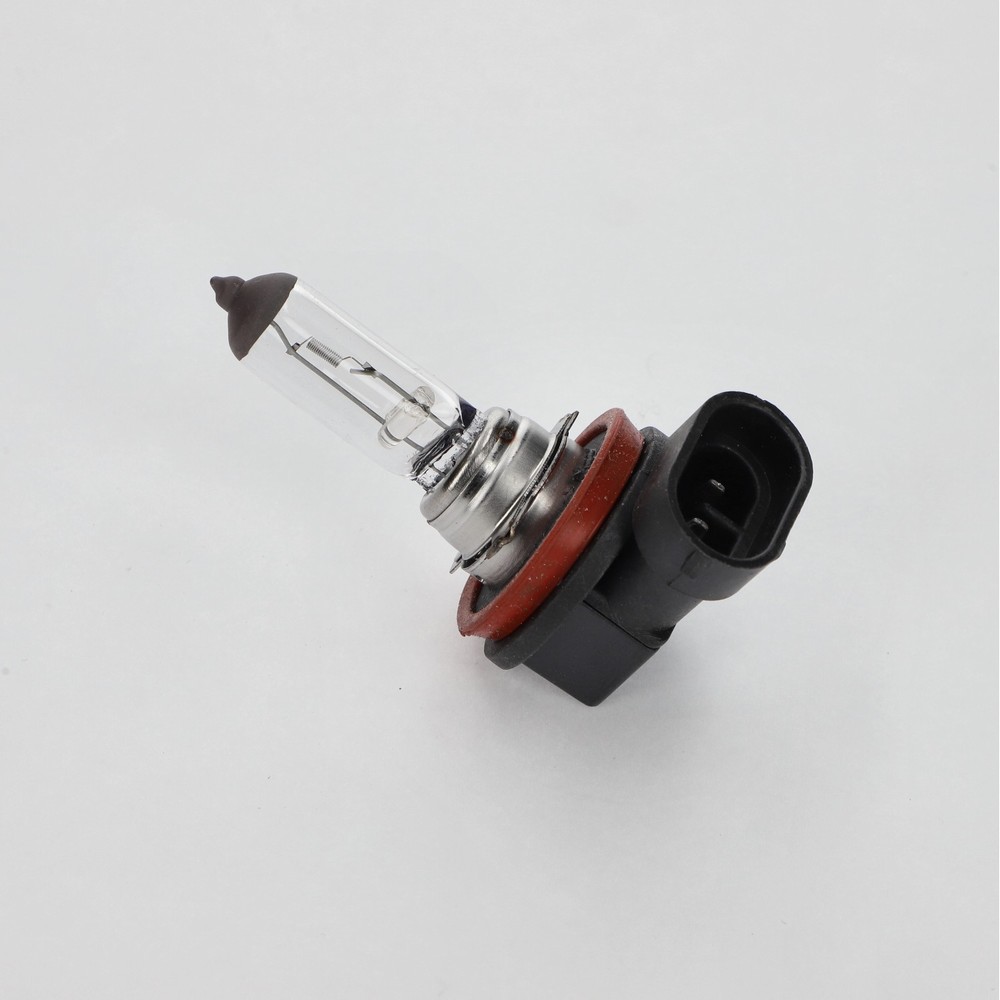 BULB 12V 55W H11 PGJ19-2 HALOGEN - XABPH11