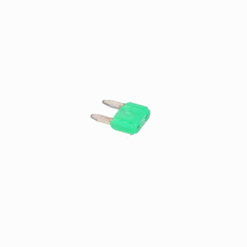Fuse – Green, 30 amp Hardwired fusebox